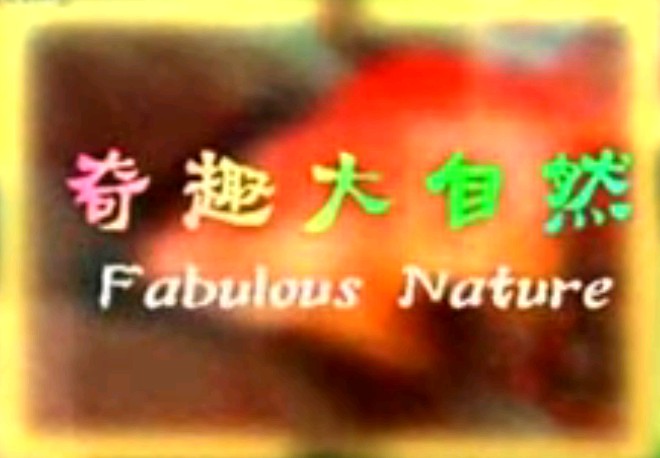 奇趣大自然_湿地豪情